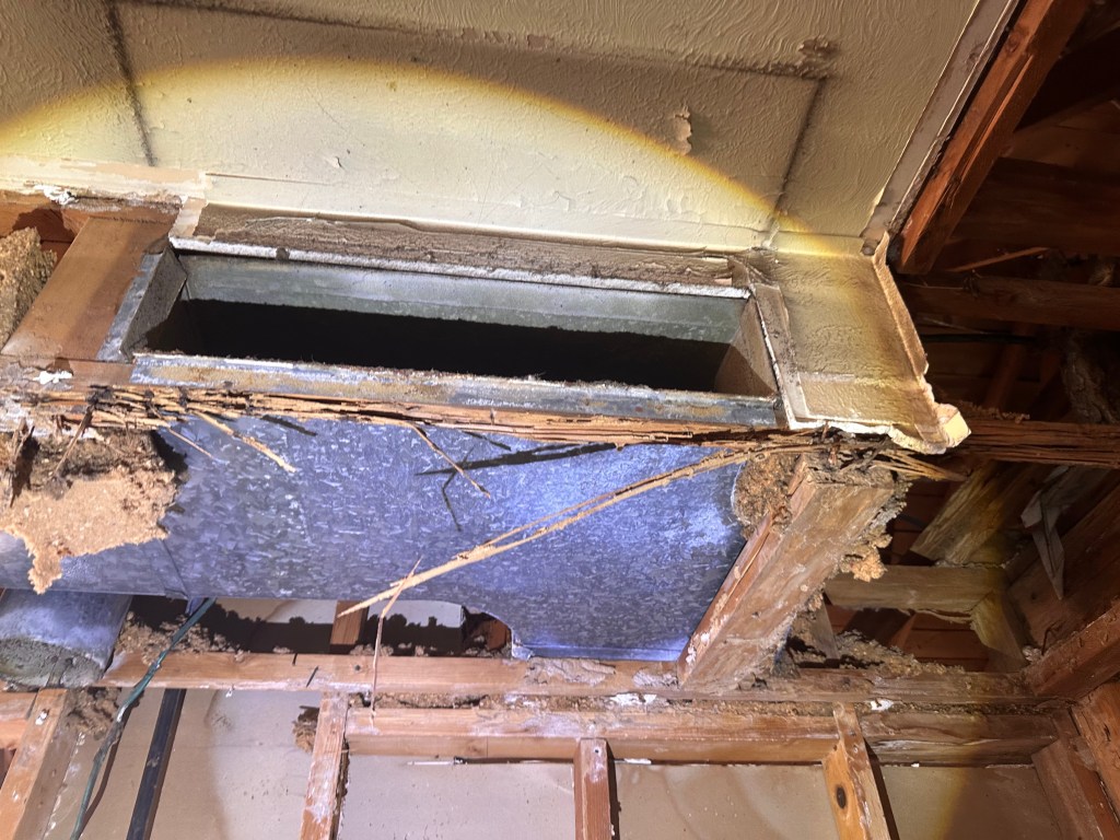 Subterranean Termite Damage