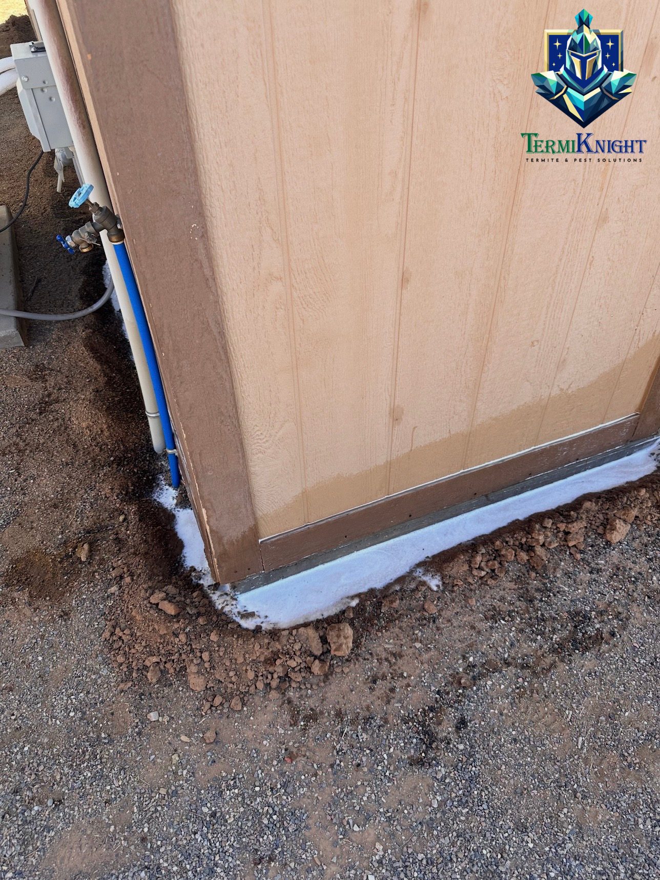 7 Important Facts About Termite Control in Surprise AZ Every Homeowner Should Know