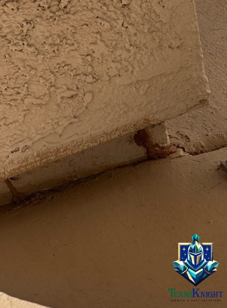 termite control surprise az
