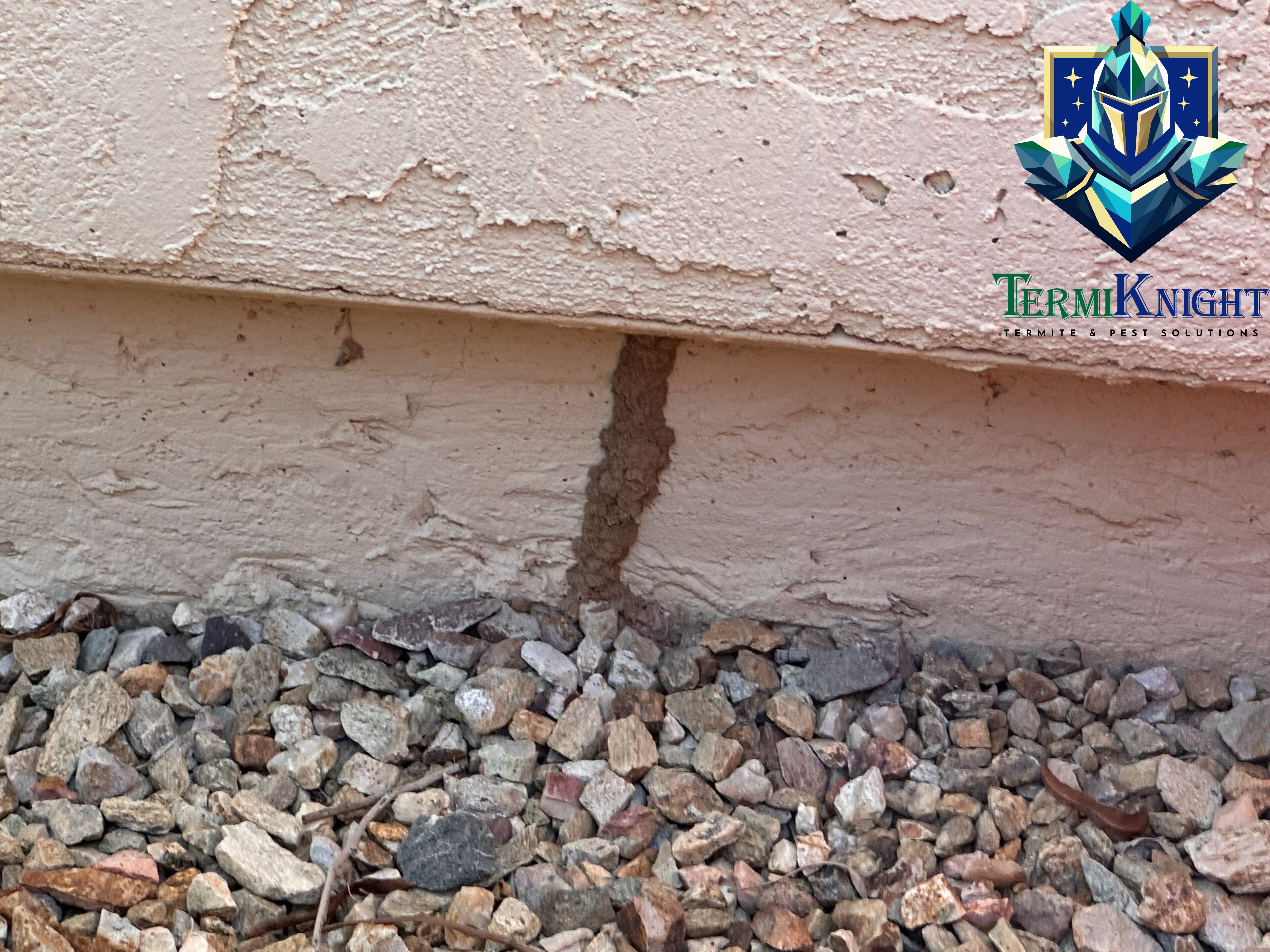 9 Termite Control Tips Every Homeowner in Surprise AZ Should Know