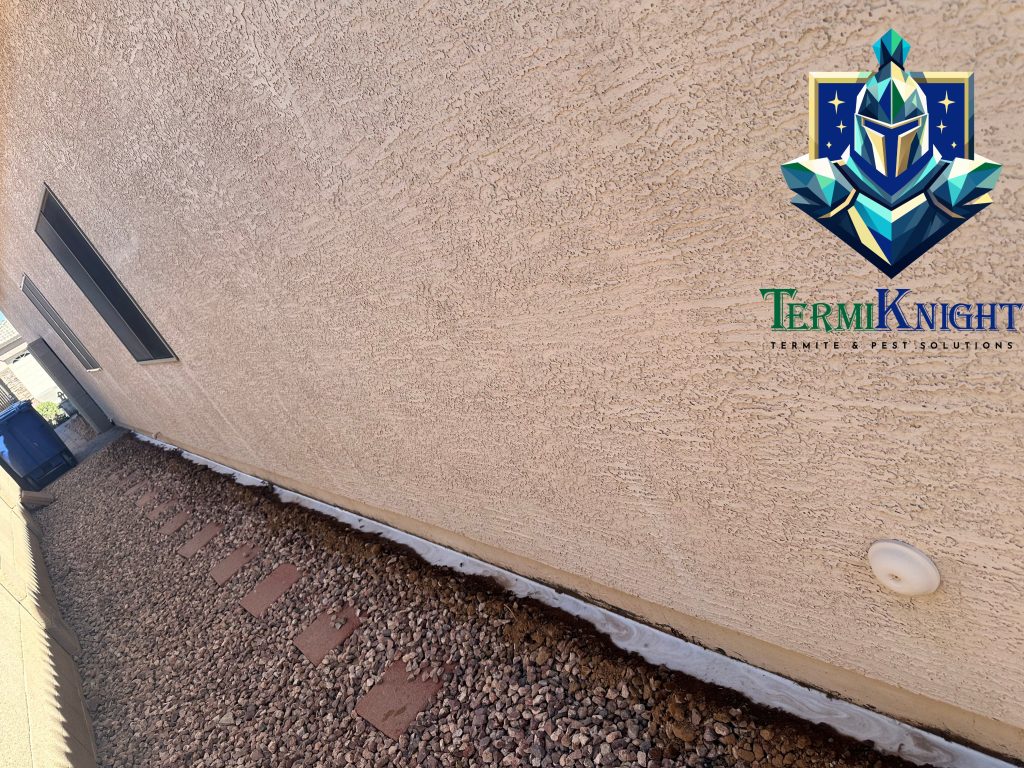 termite control surprise az