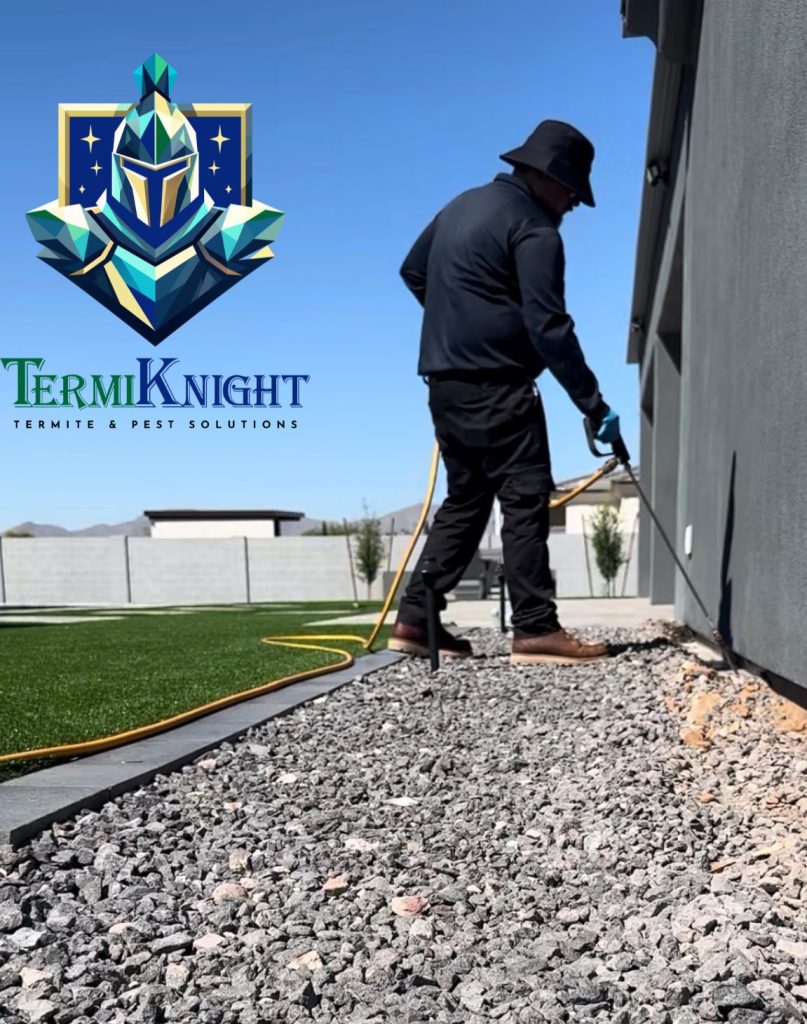 termite control surprise az