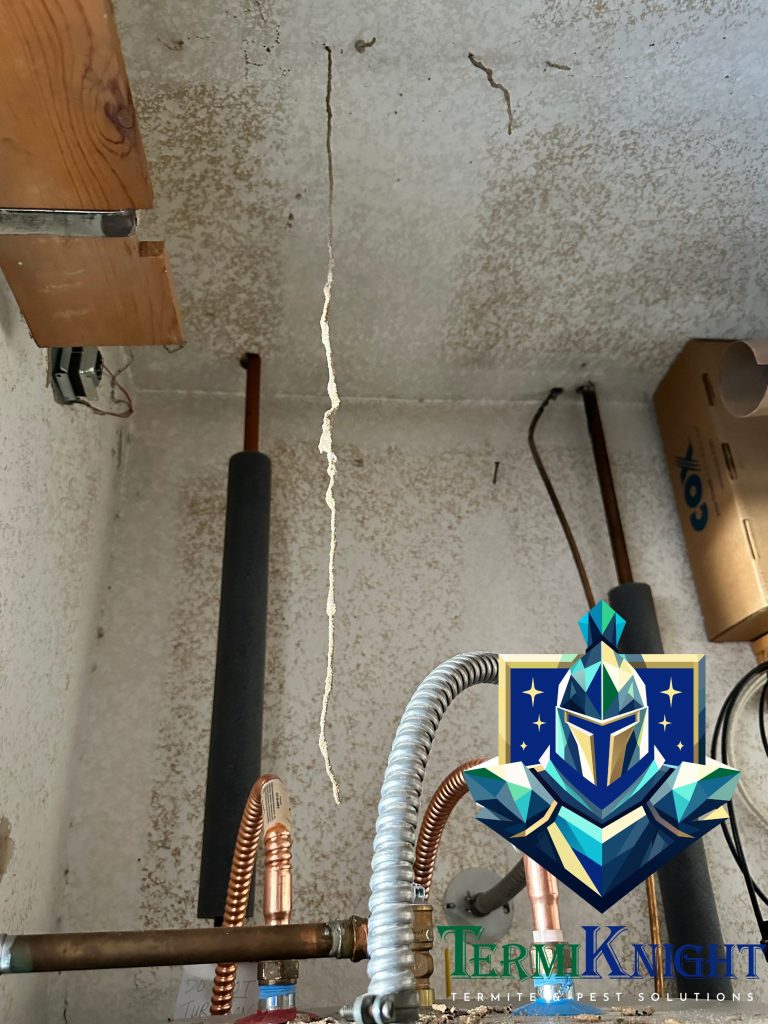 termite control surprise az