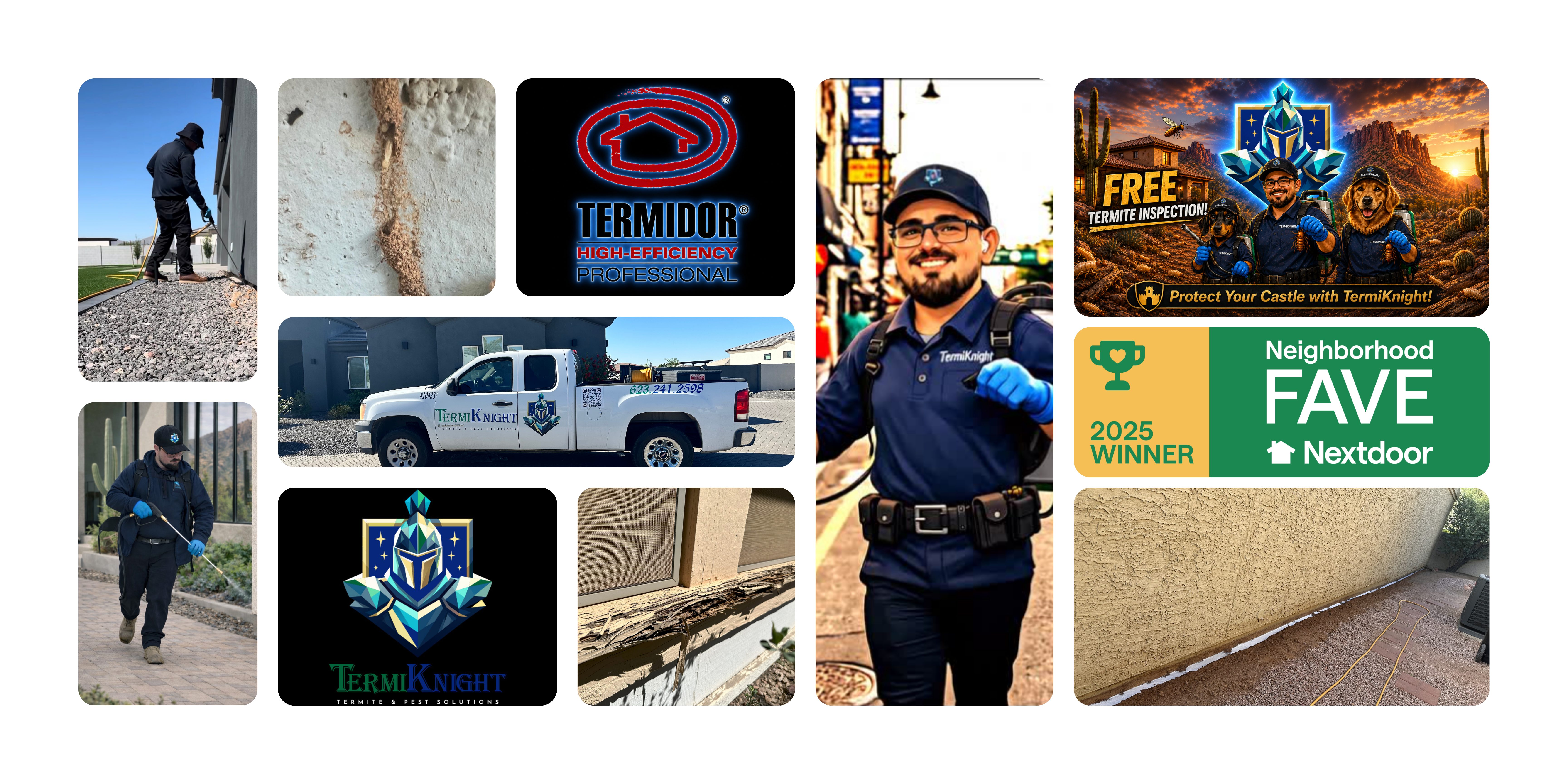 Termite Control Surprise Az