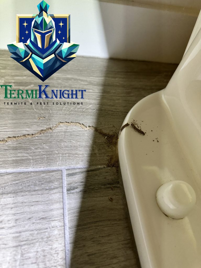 termite control surprise az