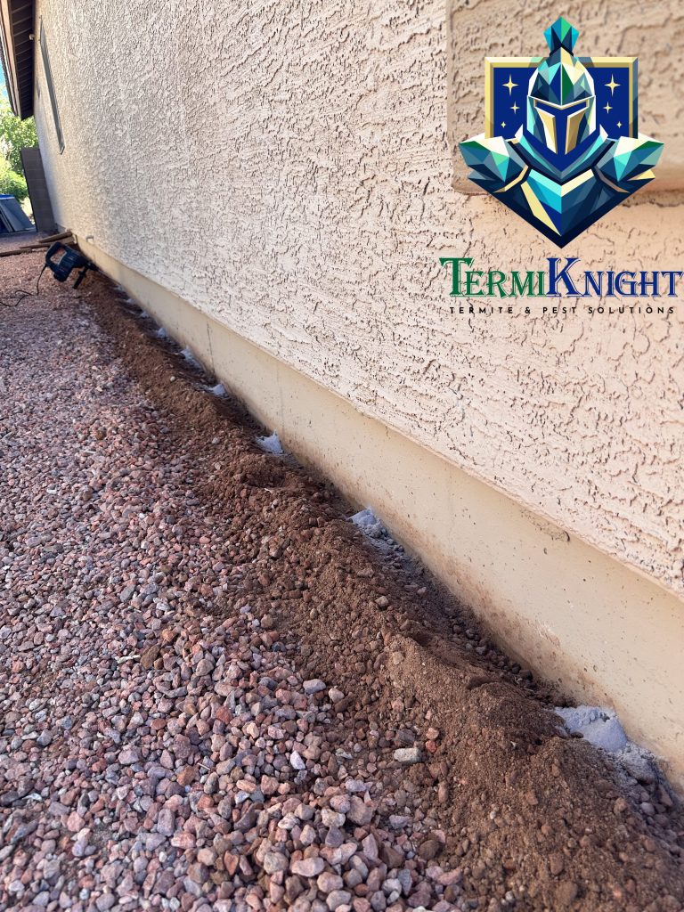 termite control surprise az