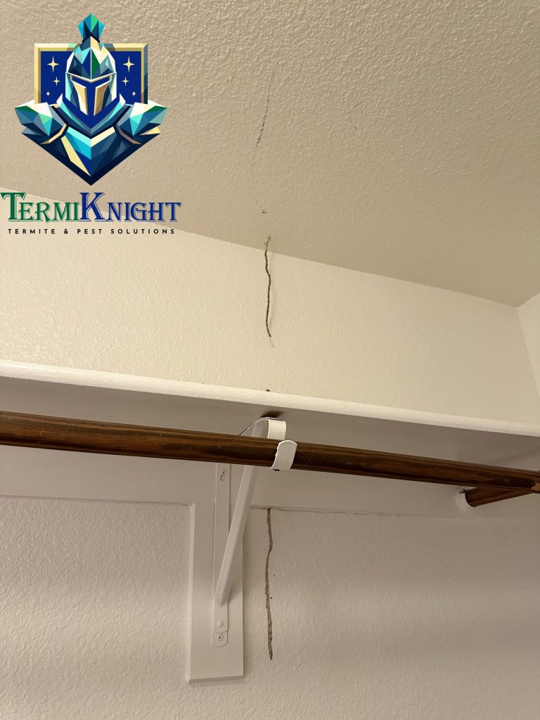 termite control surprise az