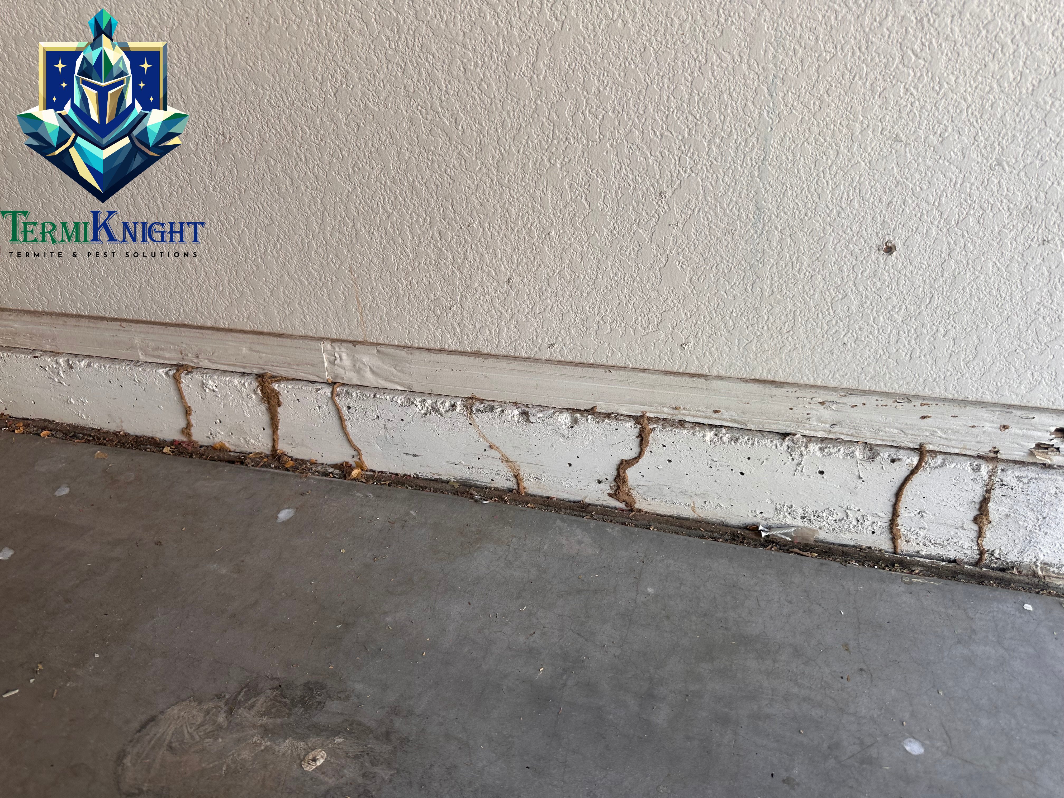 Termite Control in Surprise AZ: 7 Costly Mistakes Homeowners Make That Can Lead to Expensive Damage