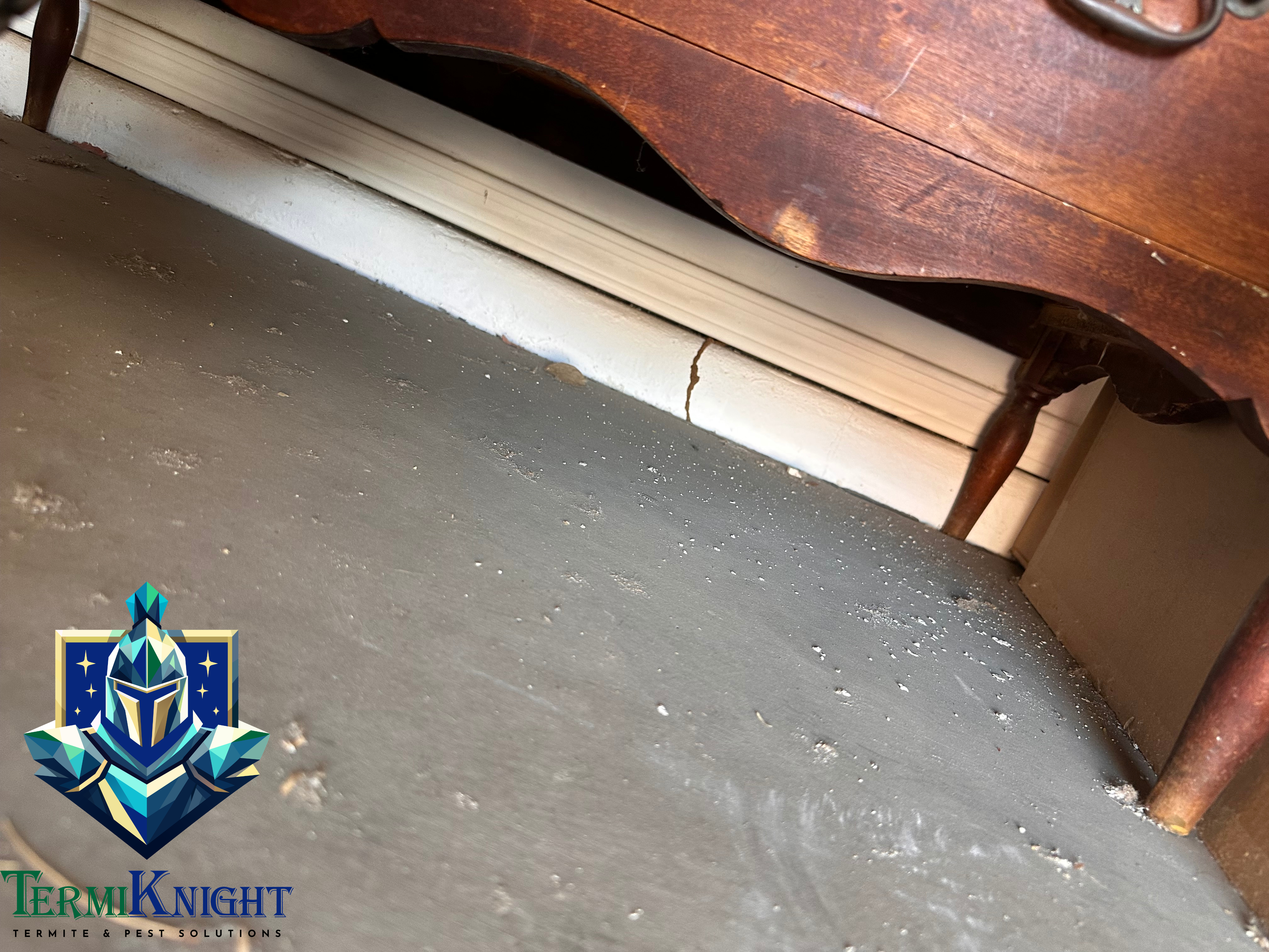 Termite Control in Surprise AZ: 12 Hidden Termite Hotspots That Can Lead to Costly Damage