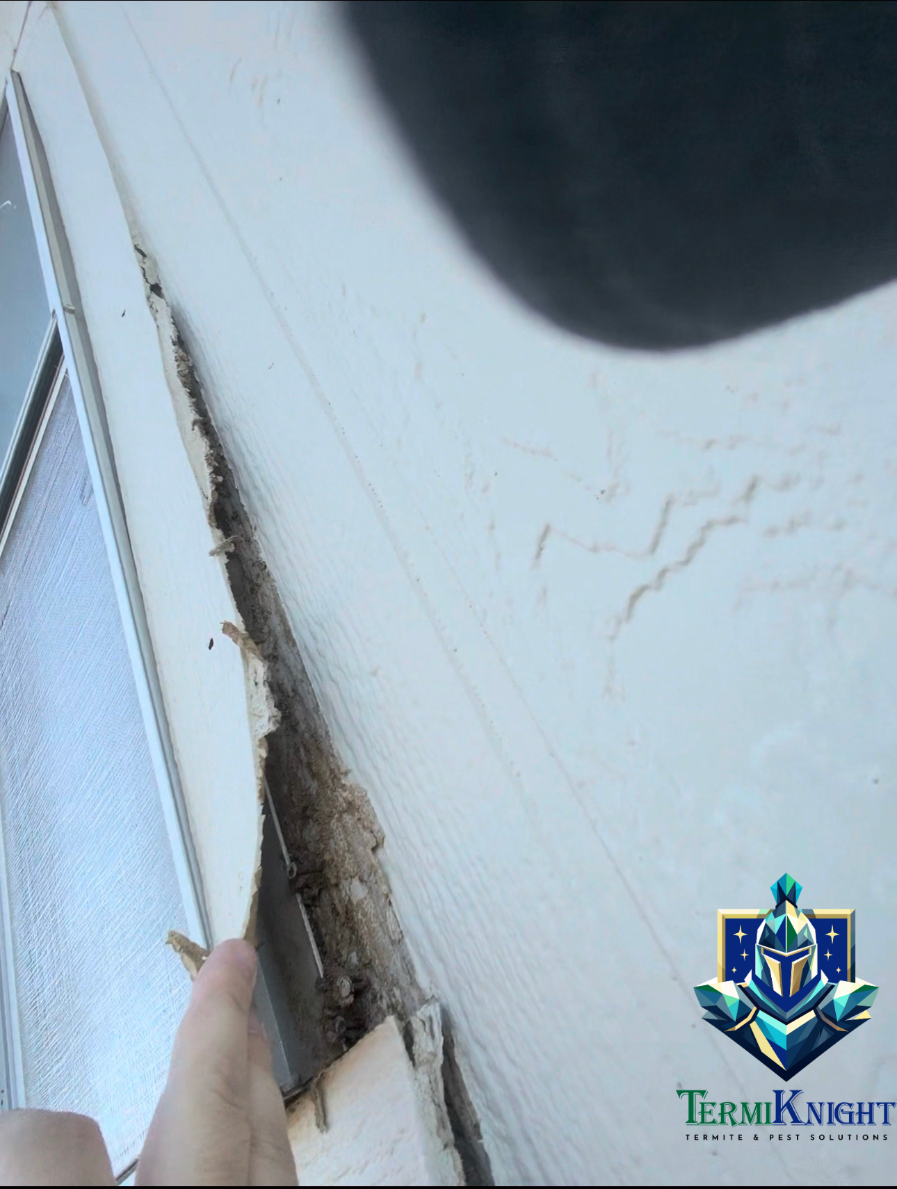 termite control surprise az