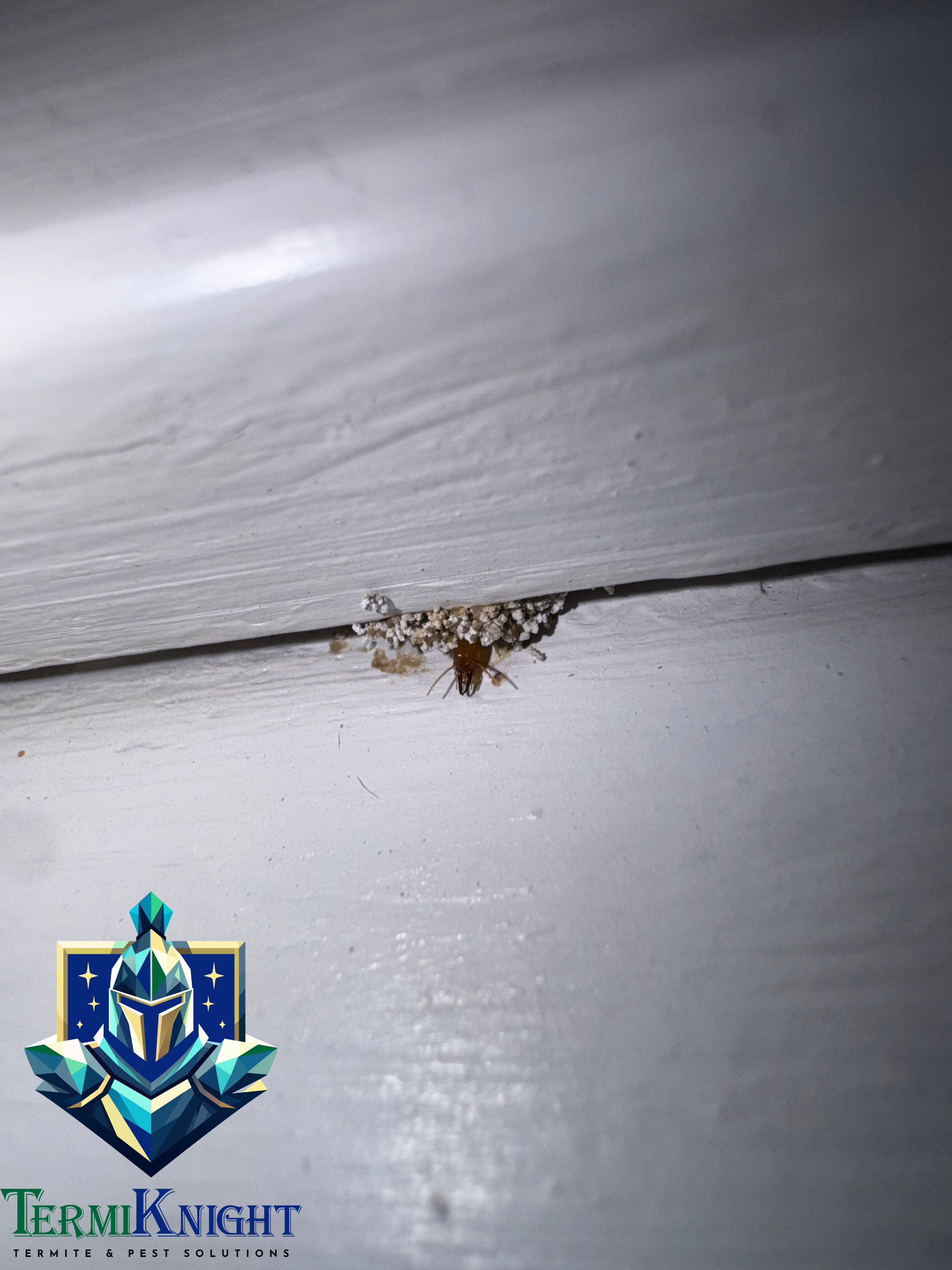 Termite Control in Surprise AZ: 11 Costly Ways Landscaping and Home Improvements Can Create Hidden Termite Gaps